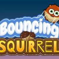 Bouncing Squirrel Leap Collect and Defy Gravity in Nature s Playground