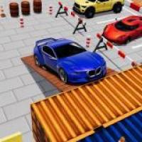 Parking Skills Challenge