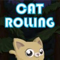 Roll Jump and Dash Join the Cat Rolling Adventure